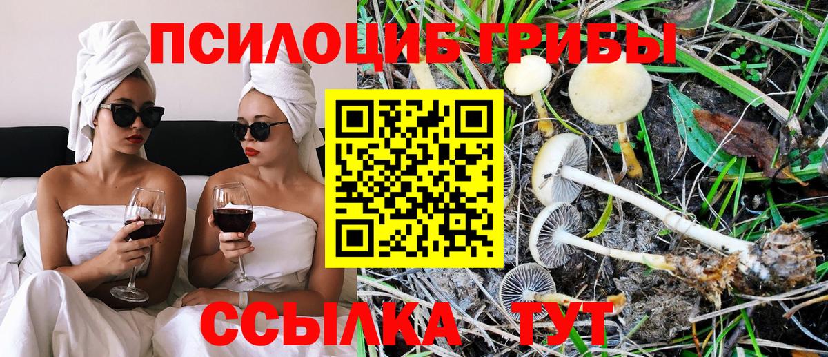 Южноуральск  Псилоцибиновые грибы мухоморы  Галлюциногенные грибы GOLDEN TEACHER  Вход с VPN 